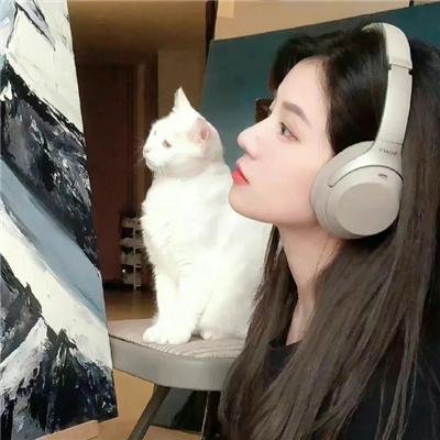 刽子手之歌